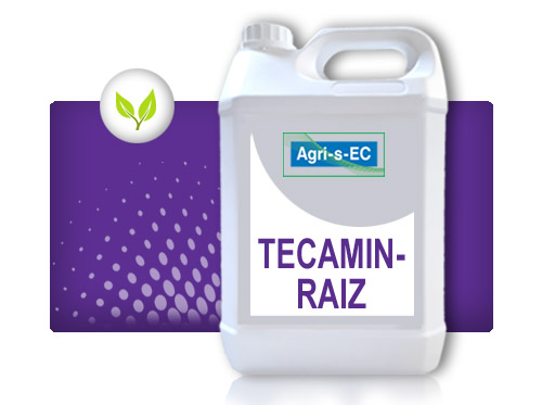 TEKAMIN_RAIZ_960x570-400x298_07_2022