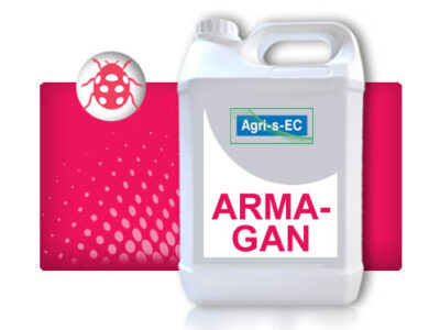 ARMA-GAN®