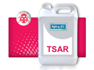 TSAR®