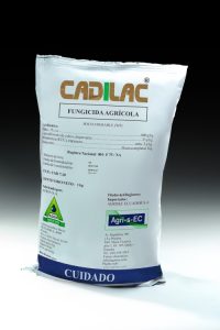 cadilac-80-wp-1-kg-yellow