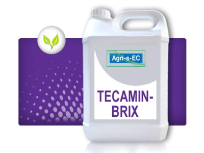 TECAMIN®-BRIX